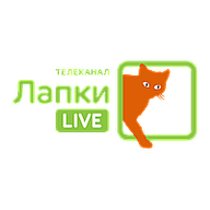 Лапки LIVE (HD)