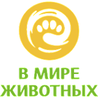 В мире животных HD