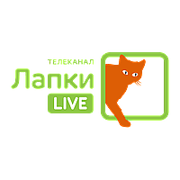 Лапки LIVE (HD)