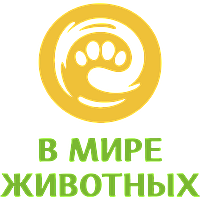 В мире животных HD